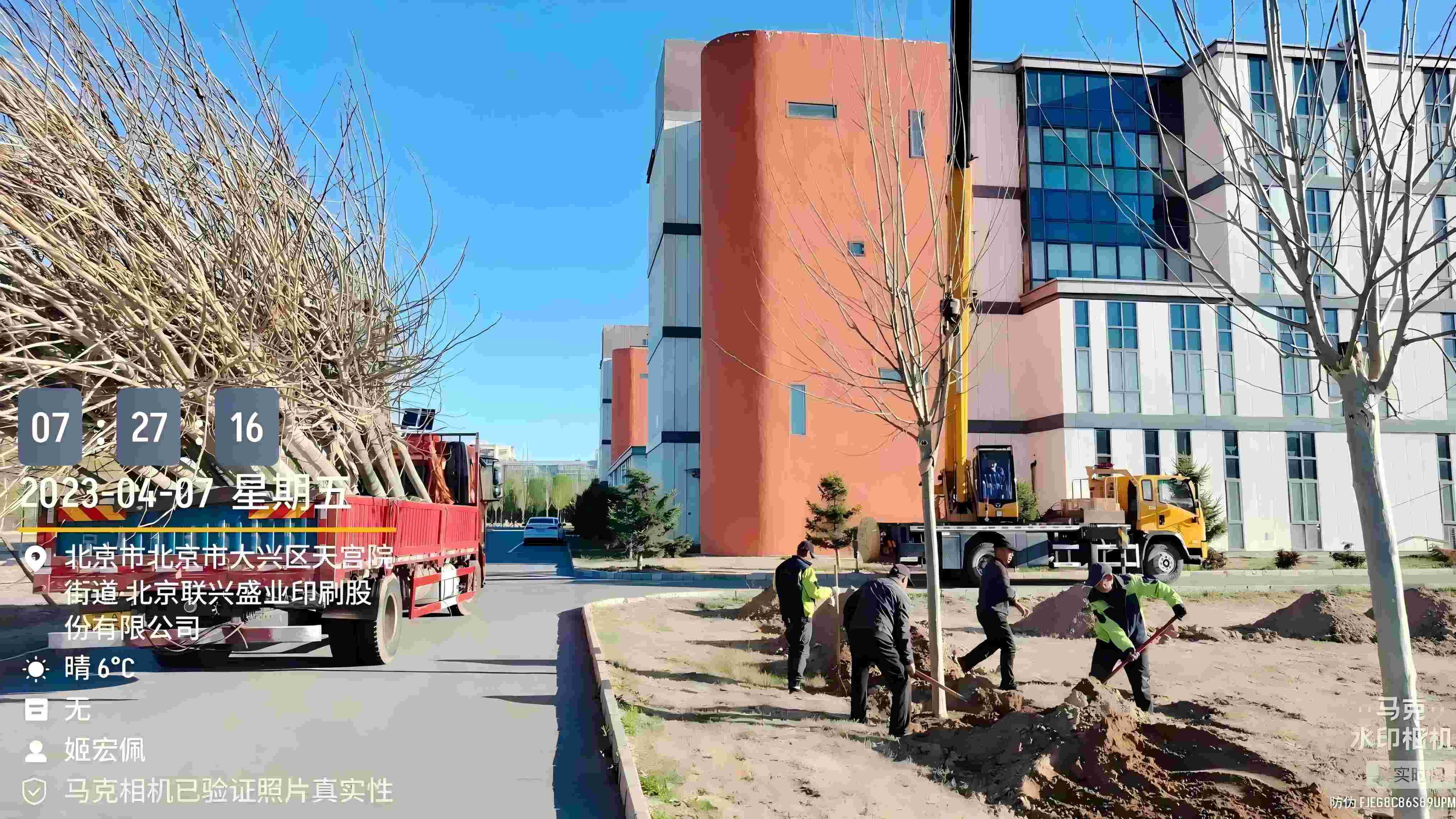 北京春季植樹最好的時間是什么時候？
